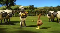 10 Shaun the Sheep - The Coconut