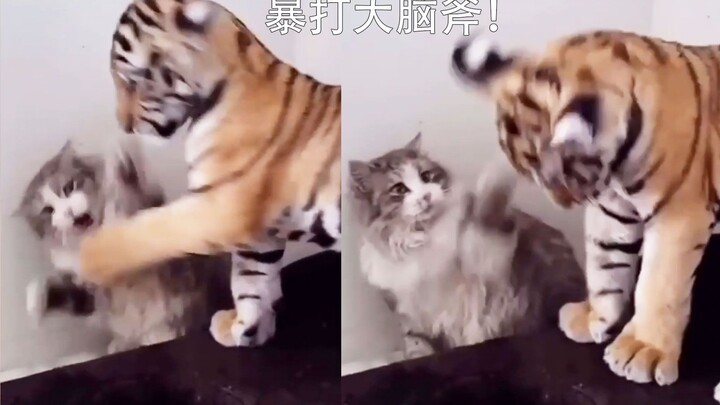 有啥生物是猫猫不敢揍哒！？