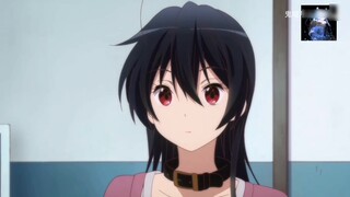 Rikka, the nemesis of the Evil King's True Eye, Touka Takanashi, the big sister who is cold on the o