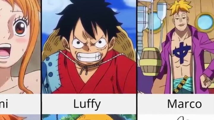 One Piece Bandingkan sekarang dengan masa kecil, masa kecil yang lucu dan masa kini yang sangat berb