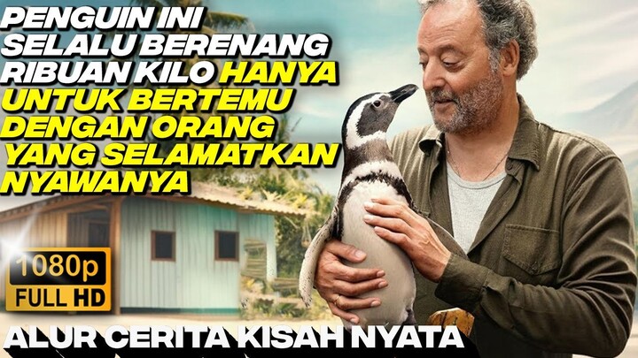 KISAH NYATA PERSAHABATAN KAKEK TUA DAN PENGUIN - Movie Review