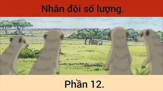 Nhân đôi số lượng p12