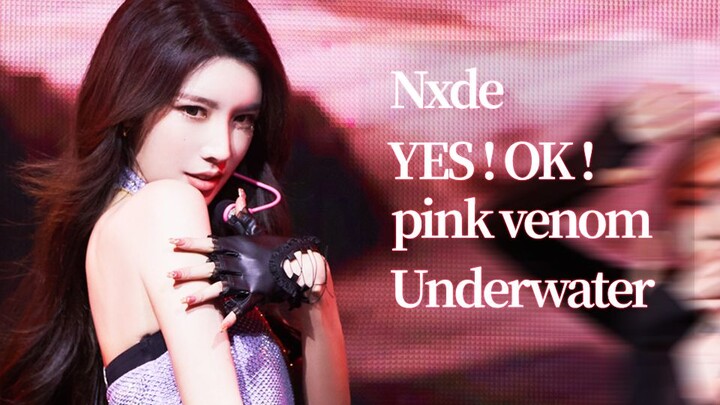 Dai Yanni menari mengikuti lagu yes!ok!/Nxde/pink venom/Underwater