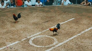 2hits Texas Cockpit Arena (May 10, 2025) First Fight