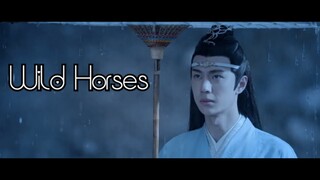 Wild Horses  - The Untamed (陈情令) MV