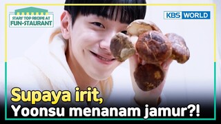 [IND/ENG] Irit apa pelit? Yoonsu bahkan menanam jamur di rumah! | Fun-Staurant | KBS WORLD TV 240422