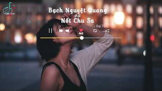 [Vietsub+Lofi Ver] Bạch Nguyệt Quang Và Nốt Chu Sa - Đại Tử | LoFi TikTok Music