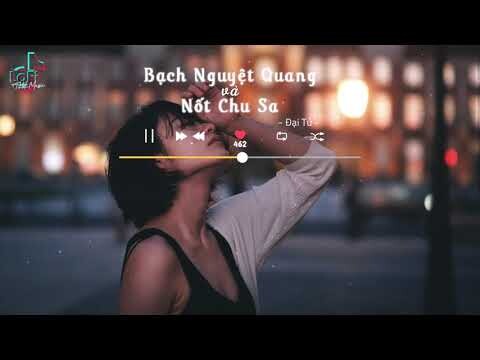 [Vietsub+Lofi Ver] Bạch Nguyệt Quang Và Nốt Chu Sa - Đại Tử | LoFi TikTok Music