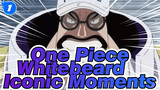 One Piece|The strongest man described by Eiichiro:He deserves it!_1