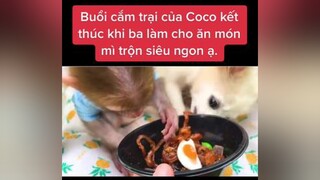 monkey dog xuhuong xuhuongtiktok LenMoodCungKFruit animals cliphai cliphay family thieunhi friends car cute egg VuDieuAnNgon MÌ NGONNN