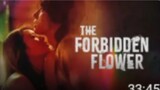 THE FORBIDDEN FLOWER Episode 8 Tagalog Dubbed