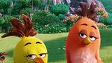 angery bird watch for free:link in description:https://adfoc.us/83394697751158