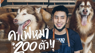 คาเฟ่ที่มีน้องหมา 200 ตัว!! แถมแมว และหมูแคระ Gowentgo Vlog