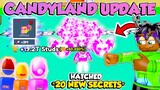 I HATCHED A *FULL TEAM* OF THE NEW SECRET Under 1 Hour | 3M+ Stats CANDYLAND UPDATE in Fly Race