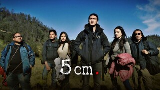 5 cm (2012)