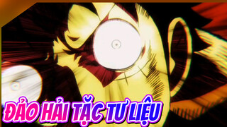 Đảo Hải Tặc AMV Tư Liệu Không Có Watermark (Tự Túc) | 4K