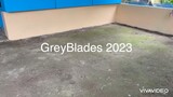GreyBlades sparring compilation 1 Patalon talon style