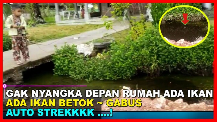 ASLI GOKIL..! ANAK KECIL MANCING IKAN BETOK DEPAN RUMAH