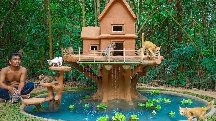 สร้างบ้านต้นไม้ที่สวยงามและบ่อปลาขนาดเล็กสำหรับลูกแมว!