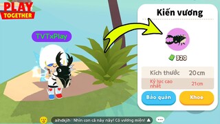 Thông Báo Thời Gian Cập Nhật Mới, Thêm Công Trùng Mới Nền Tím Vào Siêu Ngon | Play Together