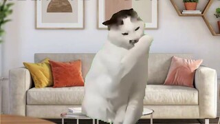 [Pembaruan baru meme kucing] Ulang tahun kelima suamiku dan aku - cinta dua kutu buku!