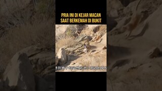 PRIA INI DI KEJAR MACAN SAAT BERKEMAH DI BUKIT BATU #alurceritaflim #film