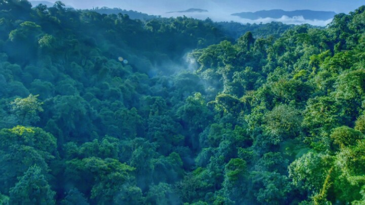 [คัต] ภาพผืนป่าแบบ HDR สวยมาก ๆ