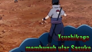 Tsuchikage membunuh ular Sasuke