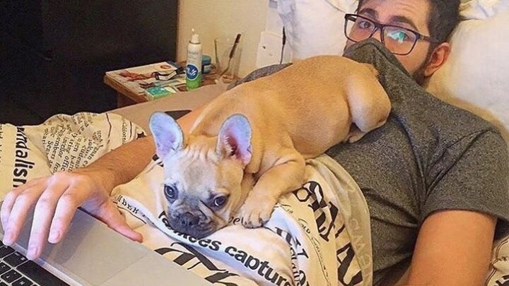 When funniest French Bulldogs comes into your life 🤣