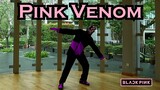 Pink Venom Dance Cover - BLACKPINK | Freestyle | Flaming Centurion Mk 2 Choreography