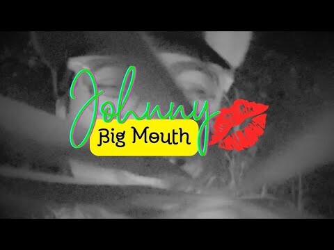 Johnny Big Mouth - Don Carlos | Val Ortiz Reggae Cover (Audio Only)