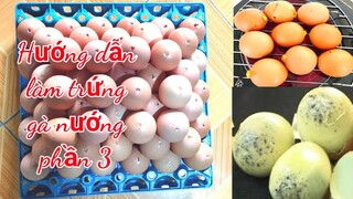 Ẩm thực | Hướng dẫn cách làm trứng gà nướng phần 3 - cuisines