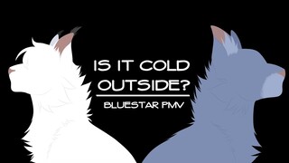 Is It Cold Outside? - Bluestar PMV