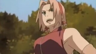 SAKURA DISINI KELIATAN BESAR BANG