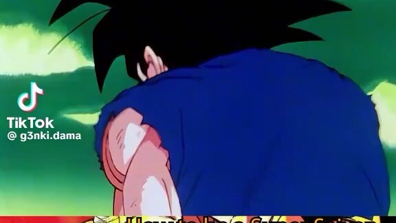 dragon ball z.