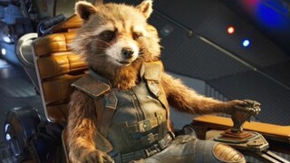 "Rocket, hóa ra cậu vẫn luôn là nhân vật chính của câu chuyện này, chỉ là cậu không biết điều đó thô