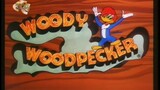 Woody Woodpecker Episode 109 Franken-Stymied