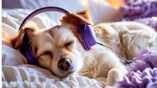 Deep Relaxation: Healing Stress, Anxiety/🐾 🐶🎧