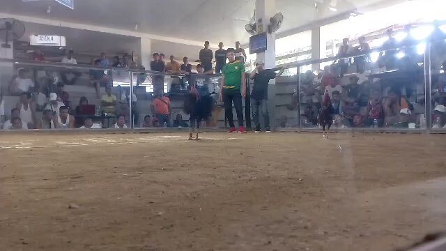 2 Hits Champion (04/25/2025). First Fight: Stag Hennie Line (Kanan Tari)
