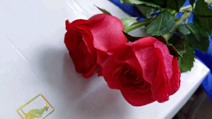 Làm hoa hồng từ giấy ăn