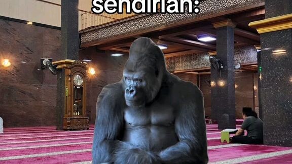 POV: TERAWEH Meme Kucing