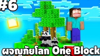 Minecraft - เอาชีวิตรอดบนเกาะ One Block 6 Minecraft 1181 easy boy