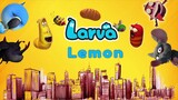 Larva Lemon __ TRAP OF YELLOW AND RED  60min _ Cartoon video
