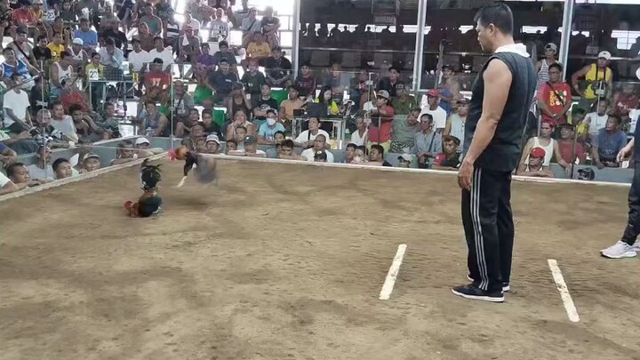 2hits champion 🏆 1st fight