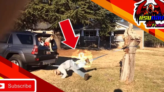 คลิปตลกต่างประเทศ ทั้งขำและสงสาร Best the Fails 2020