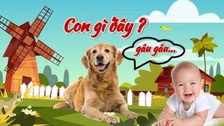 Con gì đây, con chó 🐶, tiếng chó sủa, nhạc thiếu nhi, bé học con vật, dog videos, thao ngoc chau