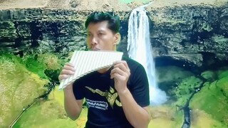 The Sounds of Silence Pan Flute Cover