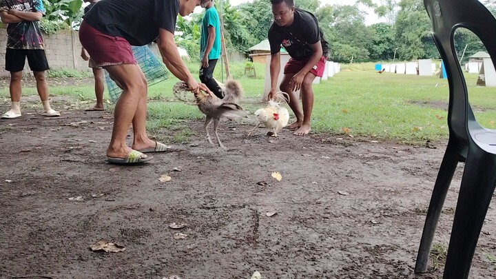 Grabi ang lakas ng super dom ni idol💪