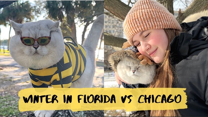 Winter in FLORIDA or CHICAGO? What does Apollo prefer?