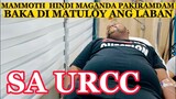 MAMMOTH HINDI MAGANDA ANG PAKIRAMDAM BAKA DI MATULOY ANG LABAN